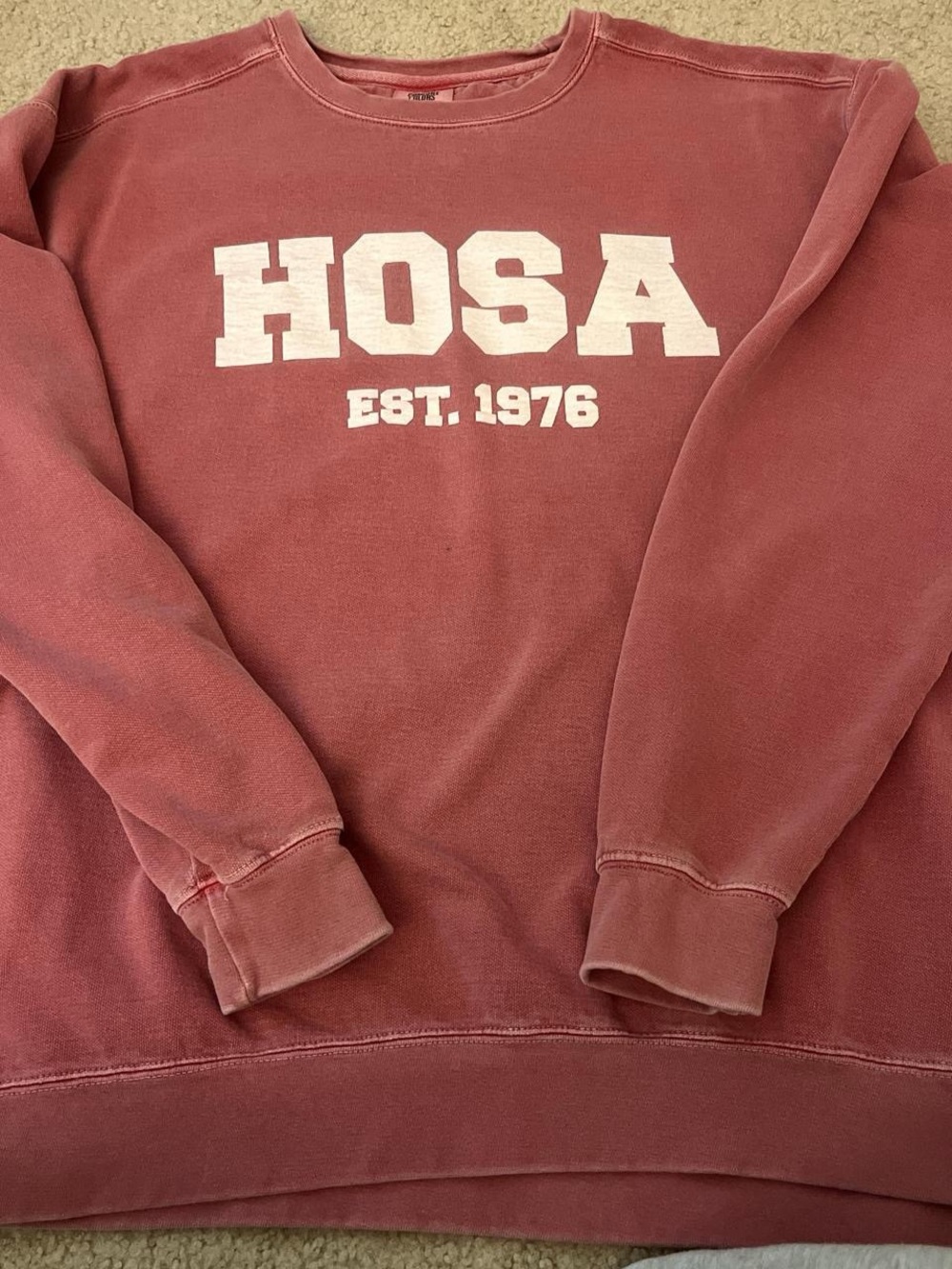 Comfort Colors HOSA sweatshirt